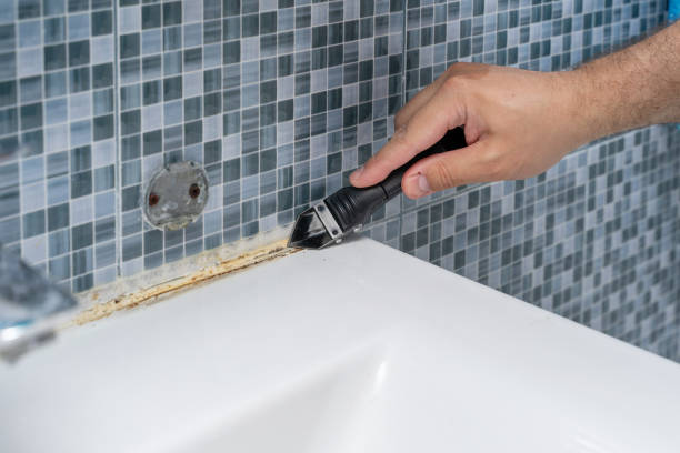 Best Home Mold Removal  in Cambridge Springs, PA