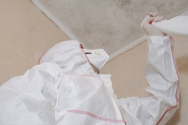 Best Residential Mold Removal  in Cambridge Springs, PA